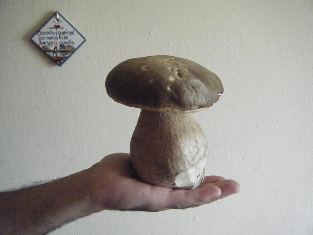 מלון יס Fonda Ca L'Abel מראה חיצוני תמונה